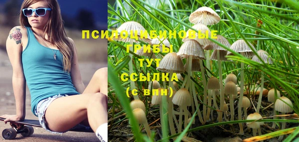 шишки Осинники