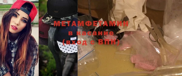 шишки Осинники