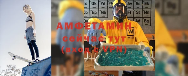 шишки Осинники