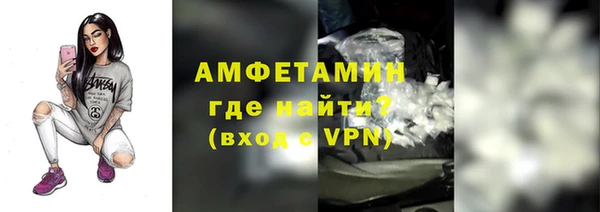 шишки Осинники