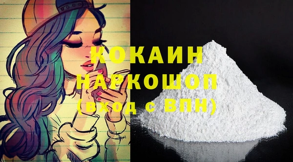 шишки Осинники