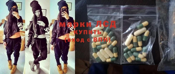шишки Осинники