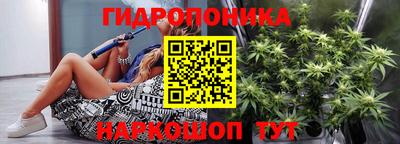 прущие крисы Абакан