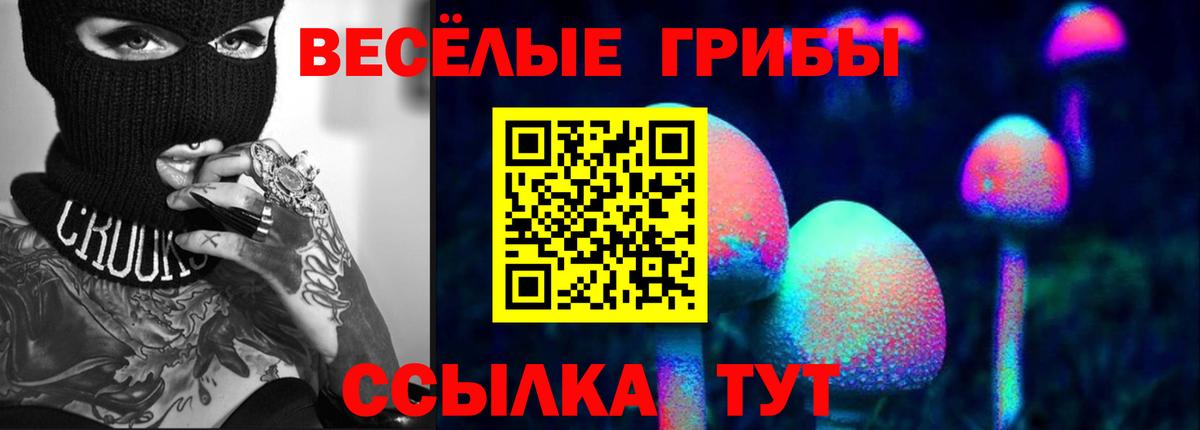 Псилоцибиновые грибы MAGIC MUSHROOMS  Вход с VPN  Анапа 